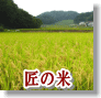 うつくしま特選◇玄米