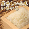 美味しい白米いろいろ