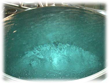 霧島の湧水