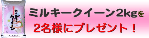 抽選で2名様にプレゼント!!今人気の『ミルキークイーン』2kg