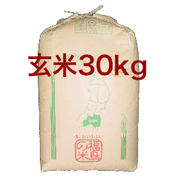 【送料無料】【玄米】福島県 田村産ひとめぼれ100%【20年産】『匠の米・田村ひとめぼれ』30kg[石抜き処理済]