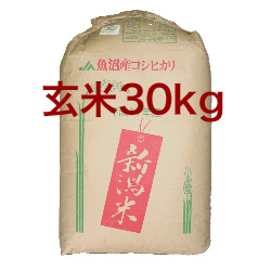 【送料無料】【玄米】米の美味さを全て兼ね備えた究極の食材【20年産】究極の米『魚沼産コシヒカリ』30kg[石抜き処理済]
