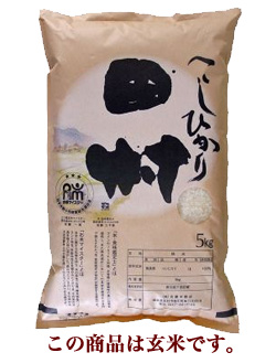 【玄米】福島県 田村産コシヒカリ100%【20年産】『匠の米・田村コシヒカリ』5kg[石抜き処理済]