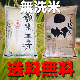 【無洗米】【送料無料】19年産田村コシヒカリ5kg ＆ 19年産銀米工房5kg 合計10kg期間限定で激安セール中！