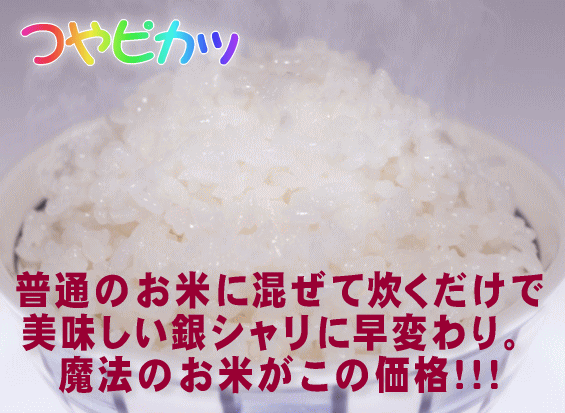 ミルキークイーン