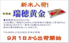 画像2: 新米入荷【令和7年産】瑞穂黄金(みずほこがね)5kg (2)