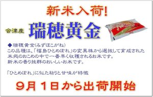 画像2: 新米入荷【令和7年産】瑞穂黄金(みずほこがね)5kg