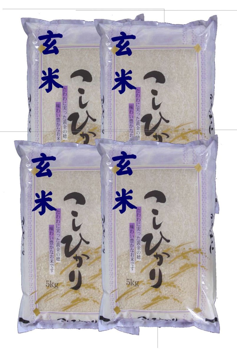画像1: 【玄米】令和7年産福島県産・会津コシヒカリ20kg（5kg×4袋）石抜き処理済]　●送料無料(北海道・九州・沖縄を除く) (1)