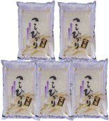 【玄米】令和7年産福島県産・会津コシヒカリ25kg（5kg×5袋）[石抜き処理済]　●送料無料(北海道・九州・沖縄を除く)