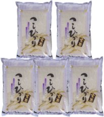 画像1: 【玄米】令和7年産福島県産・会津コシヒカリ25kg（5kg×5袋）[石抜き処理済]　●送料無料(北海道・九州・沖縄を除く) (1)