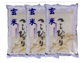 【玄米】令和4年産福島県産・会津コシヒカリ20kg（5kg×4袋）石抜き処理済]