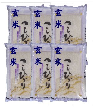 画像1: 【玄米】令和7年産福島県産・会津コシヒカリ30kg（5kg×6袋）石抜き処理済]　●送料無料(北海道・九州・沖縄を除く)