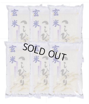 画像1: 【玄米】令和7年産福島県産・会津コシヒカリ30kg（5kg×6袋）石抜き処理済]　●送料無料(北海道・九州・沖縄を除く)