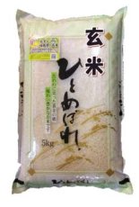画像1: 【玄米】令和7年産・会津産特選ひとめぼれ5kg[石抜き処理済]　●送料無料(北海道・九州・沖縄を除く) (1)