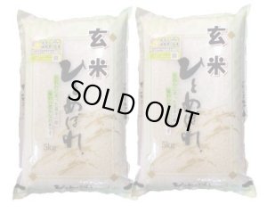 画像1: 【玄米】令和7年産・会津産 特選ひとめぼれ10kg（5kg×2袋）[石抜き処理済]　●送料無料(北海道・九州・沖縄を除く)
