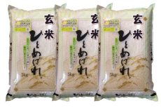 画像1: 【玄米】令和7年産・会津産 特選ひとめぼれ15kg（5kg×3袋）[石抜き処理済]　●送料無料(北海道・九州・沖縄を除く) (1)