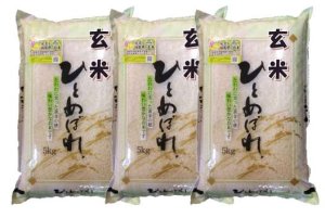 画像1: 【玄米】令和7年産・会津産 特選ひとめぼれ15kg（5kg×3袋）[石抜き処理済]　●送料無料(北海道・九州・沖縄を除く)