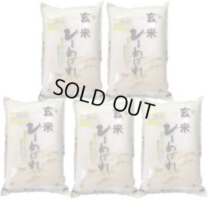 画像1: 【玄米】令和7年産・会津産 特選ひとめぼれ25kg（5kg×5袋）[石抜き処理済]　●送料無料(北海道・九州・沖縄を除く)