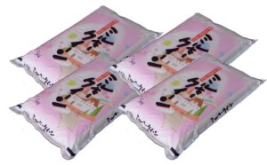 画像1: 令和7年産新品種ミルキークイーン20kg(5kg×4袋) ●送料無料(北海道・九州・沖縄を除く)