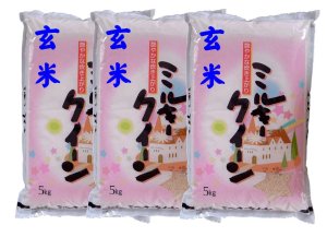 画像1: 【玄米】令和7年産　福島県産ミルキークィーン15kg（5kg×3袋）　[石抜き処理済]　●送料無料(北海道・九州・沖縄を除く)