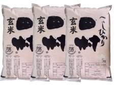 画像1: 【玄米】福島県【令和7年産】『匠の米・田村コシヒカリ』15kg(5kg×3袋)[石抜き処理済]　●送料無料(北海道・九州・沖縄を除く) (1)