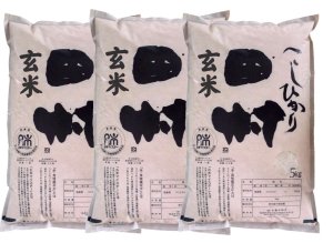 画像1: 【玄米】福島県【令和7年産】『匠の米・田村コシヒカリ』15kg(5kg×3袋)[石抜き処理済]　●送料無料(北海道・九州・沖縄を除く)