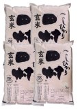 画像1: 【玄米】福島県【令和5年産】『匠の米・田村コシヒカリ』20kg(5kg×4袋)[石抜き処理済]　●送料無料(北海道・九州・沖縄を除く) (1)