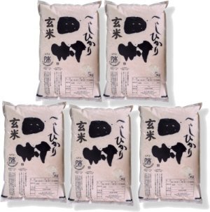 画像1: 【玄米】福島県【令和7年産】『匠の米・田村コシヒカリ』25kg(5kg×5袋)[石抜き処理済]　●送料無料(北海道・九州・沖縄を除く)