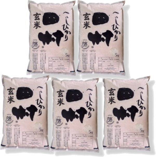画像1: 【玄米】福島県【令和6年産】『匠の米・田村コシヒカリ』25kg(5kg×5袋)[石抜き処理済]　●送料無料(北海道・九州・沖縄を除く)