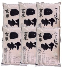 画像1: 【玄米】福島県【令和7年産】『匠の米・田村コシヒカリ』30kg(5kg×6袋)[石抜き処理済]　●送料無料(北海道・九州・沖縄を除く) (1)