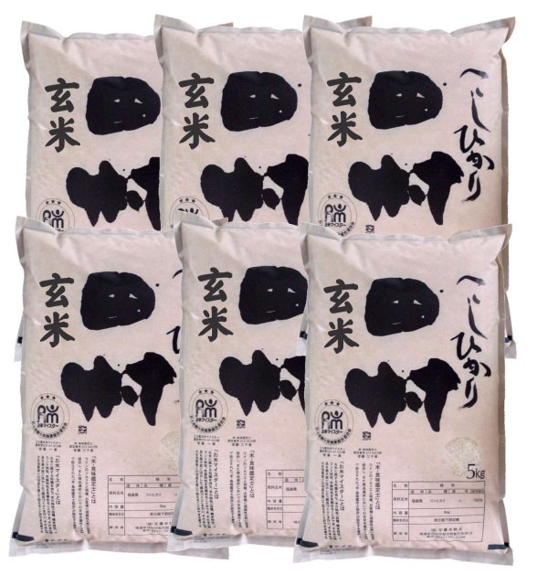 画像1: 【玄米】福島県【令和6年産】『匠の米・田村コシヒカリ』30kg(5kg×6袋)[石抜き処理済]　●送料無料(北海道・九州・沖縄を除く)