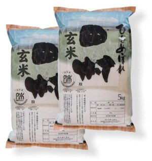 画像1: 【玄米】福島県【令和7年産】匠の米「田村ひとめぼれ」10kg（5kg×2袋）[石抜き処理済]　●送料無料(北海道・九州・沖縄を除く)