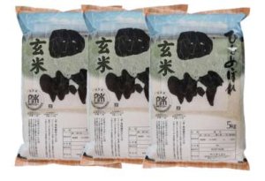 画像1: 【玄米】福島県【令和7年産】匠の米「田村ひとめぼれ」15kg（5kg×3袋）[石抜き処理済]　●送料無料(北海道・九州・沖縄を除く)