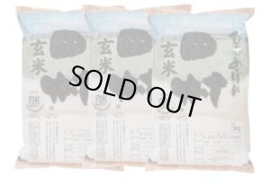 画像1: 【玄米】福島県【令和7年産】匠の米「田村ひとめぼれ」15kg（5kg×3袋）[石抜き処理済]　●送料無料(北海道・九州・沖縄を除く)