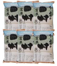 画像1: 【玄米】福島県【令和7年産】匠の米「田村ひとめぼれ」30kg（5kg×6袋）[石抜き処理済]　●送料無料(北海道・九州・沖縄を除く) (1)