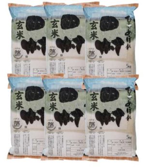 画像1: 【玄米】福島県【令和7年産】匠の米「田村ひとめぼれ」30kg（5kg×6袋）[石抜き処理済]　●送料無料(北海道・九州・沖縄を除く)