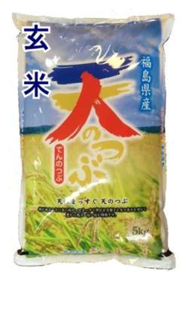 画像1: 【玄米】令和6年産　福島県産　天のつぶ  5kg　[石抜き処理済]　●送料無料(北海道・九州・沖縄を除く)