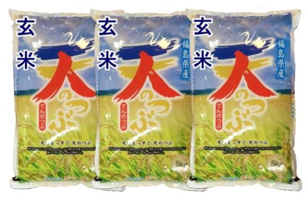 画像1: 【玄米】令和5年産　福島県産　天のつぶ 　15kg (5kg×3袋)　[石抜き処理済]　●送料無料(北海道・九州・沖縄を除く)