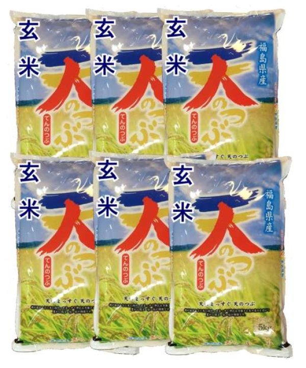 画像1: 【玄米】令和5年産　福島県産　天のつぶ 　30kg (5kg×6袋)　[石抜き処理済]　●送料無料(北海道・九州・沖縄を除く)