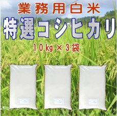 画像1: 令和7年産・業務用会津コシヒカリ 10kg×3　●送料無料(北海道・九州・沖縄を除く) (1)