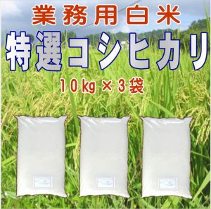 画像1: 令和7年産・業務用会津コシヒカリ 10kg×3　●送料無料(北海道・九州・沖縄を除く)