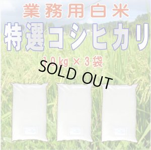 画像1: 令和7年産・業務用会津コシヒカリ 10kg×3 ●送料無料(北海道・九州・沖縄を除く)