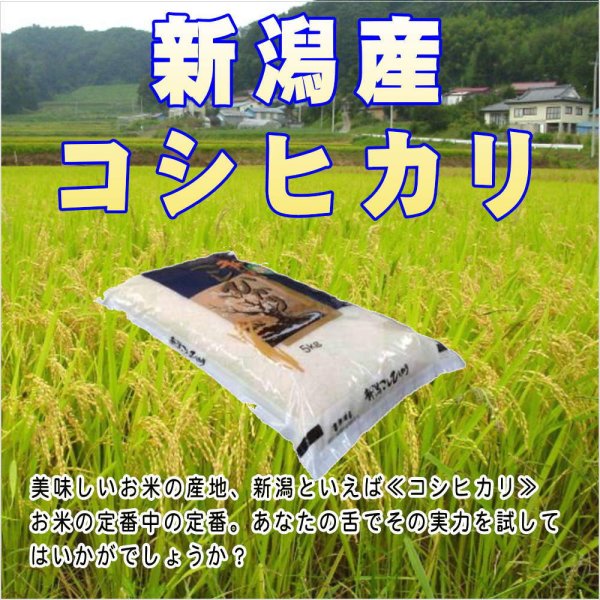 画像2: 【無洗米】【令和5年産】これぞ理想のお米！『銀米工房』30kg（5kg×6袋）　●送料無料(北海道・九州・沖縄を除く)