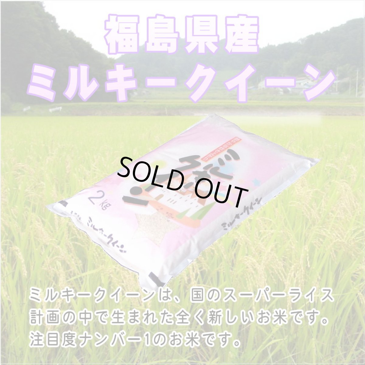 画像2: 【無洗米】【令和8年産】新品種 魔法のお米 ミルキークイーン2kg　●送料無料(北海道・九州・沖縄を除く) (2)