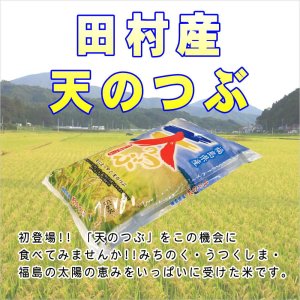 画像2: 【無洗米】令和7年産・福島県田村産 天のつぶ25kg(5kg×5袋) ●送料無料(北海道・九州・沖縄を除く)