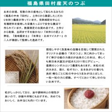 画像5: 【玄米】【令和7年産】福島県　天のつぶ30kg（生産者出荷時の30kg紙袋）　●送料無料(北海道・九州・沖縄を除く) (5)