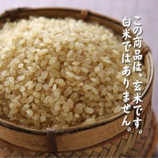 画像3: 【玄米】【令和7年産】みのりの詩チヨニシキ30kg（生産者出荷時の30kg紙袋）　●送料無料(北海道・九州・沖縄を除く) (3)