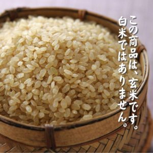 画像3: 【玄米】令和7年産　福島県産チヨニシキ25kg (5kg×5袋)　[石抜き処理済]　●送料無料(北海道・九州・沖縄を除く)