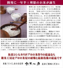 画像13: これぞ理想のお米！！【令和7年産】『銀米工房』15kg（5kg×3袋）　●送料無料(北海道・九州・沖縄を除く) (13)