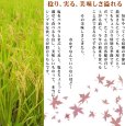画像6: 令和4年産・業務用会津コシヒカリ 10kg×3 (6)